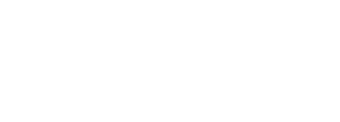 Chip In America